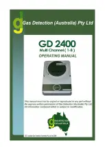 Gas Detection GD 2400 Operating Manual preview