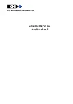 Preview for 1 page of Gas Measurement Instruments Gascoseeker 2-500 User Handbook Manual