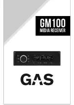 GAS GM100 Manual preview