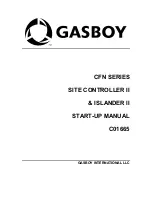 Gasboy CFN Series Startup Manual предпросмотр