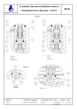 Preview for 8 page of Gascat Celtic N Installation, Operation & Maintenance Manual