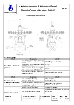 Preview for 10 page of Gascat Celtic N Installation, Operation & Maintenance Manual