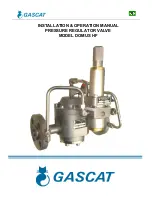 Gascat DOMUS HF Installation & Operation Manual предпросмотр