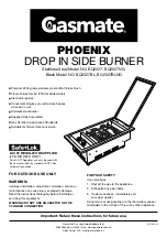 Gasmate PHOENIX BQ2027 Manual preview