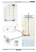 Предварительный просмотр 177 страницы Gaspardo OLIMPIA N Use And Maintenance