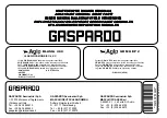 Предварительный просмотр 42 страницы Gaspardo PE 250 Use And Maintenance / Spare Parts