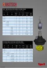 Предварительный просмотр 4 страницы GasTech R Series Manual