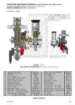 Предварительный просмотр 21 страницы GasTeh 234-BV Safe Use Manual