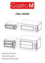 Gastro-M DS181 Instruction Manual preview