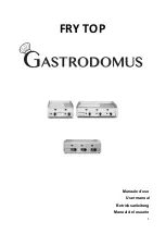 Предварительный просмотр 1 страницы Gastrodomus FRY100L User Manual