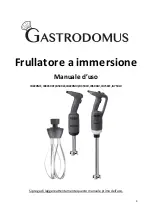 Предварительный просмотр 4 страницы Gastrodomus IB220MF User Manual