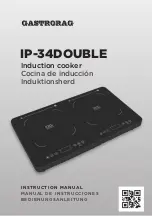 Gastrorag IP-34DOUBLE Instruction Manual preview
