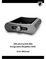 Preview for 1 page of Gato Audio DIA-250 User Manual