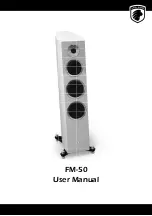 Предварительный просмотр 1 страницы Gato Audio FM-50 User Manual