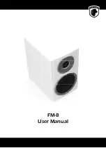 Gato Audio FM-8 User Manual preview