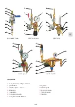 Preview for 39 page of GCE DINSET Instructions For Use Manual