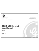 GE Interlogix Aritech CS250 User Manual preview