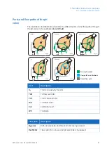 Preview for 81 page of GE AKTA avant User Manual