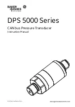 GE BAKER HUGHES DPS 5000 Series Instruction Manual preview