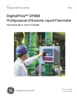 GE DigitalFlow DF868 Startup Manual предпросмотр