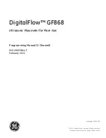 Предварительный просмотр 3 страницы GE DigitalFlow GF868 Programming Manual