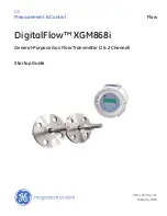 GE DigitalFlow XGM868i Startup Manual предпросмотр