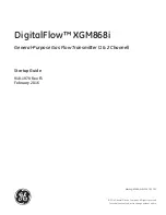 Preview for 3 page of GE DigitalFlow XGM868i Startup Manual