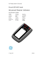 GE Druck DPI 620 Genii Quick Start Manual preview