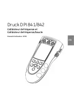 Preview for 45 page of GE Druck DPI 841 User Manual