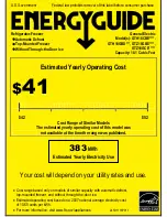 Preview for 1 page of GE GTZ18GBESS Energy Manual