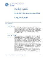 Предварительный просмотр 235 страницы GE MultiLink ML1600 Instruction Manual