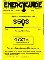 GE PE30S09KAG Energy Manual preview