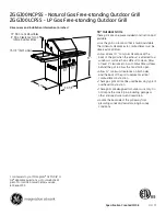 Preview for 1 page of GE ZGG300LCPSS Datasheet