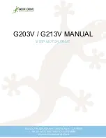 Geckodrive G203V Manual preview