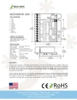 Preview for 5 page of Geckodrive G251X Manual