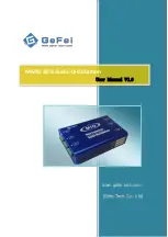 Gefei MMIO ADA User Manual предпросмотр