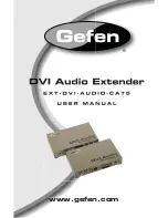 Gefen DVI Audio Extender User Manual preview