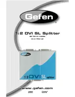 Preview for 1 page of Gefen EXT-DVI-142SL User Manual