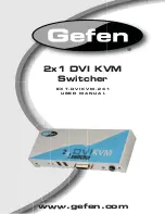 Gefen EXT-DVIKVM-241 User Manual preview