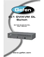 Preview for 1 page of Gefen EXT-DVIKVM-241DL User Manual