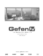 Предварительный просмотр 1 страницы Gefen GTV-HDMI1.3-142 User Manual