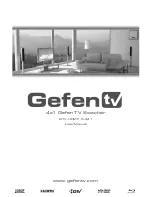 Gefen GTV-HDMI1.3-441 User Manual preview