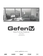 Gefen GTV-MFS User Manual предпросмотр