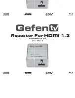 GefenTV GTV-HDMI1.3-141 User Manual предпросмотр