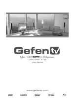 GefenTV GTV-MHDMI1.3-148 User Manual preview