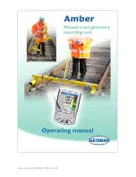 GEISMAR Amber Operating Manual preview