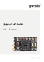 Gemalto Cinterion LGA DevKit User Manual preview