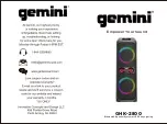 Gemini GHK-2800 Manual предпросмотр