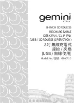 Gemini GMCF10 Manual preview