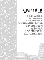 Preview for 1 page of Gemini GMCF10 Manual